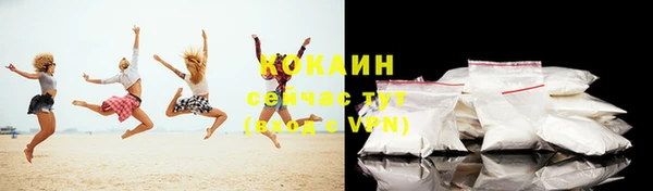 бошки Бронницы