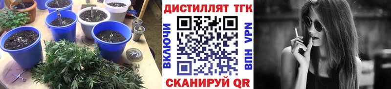 Купить  Лабинск  Дистиллят ТГК жижа 